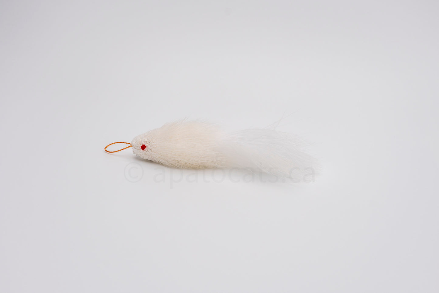 True North Mini Snow White Guppy