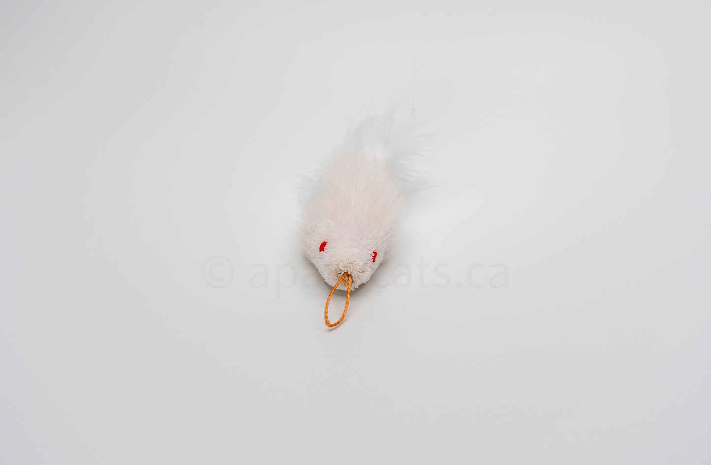 True North Mini Snow White Guppy