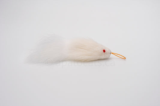 True North Mini Snow White Guppy