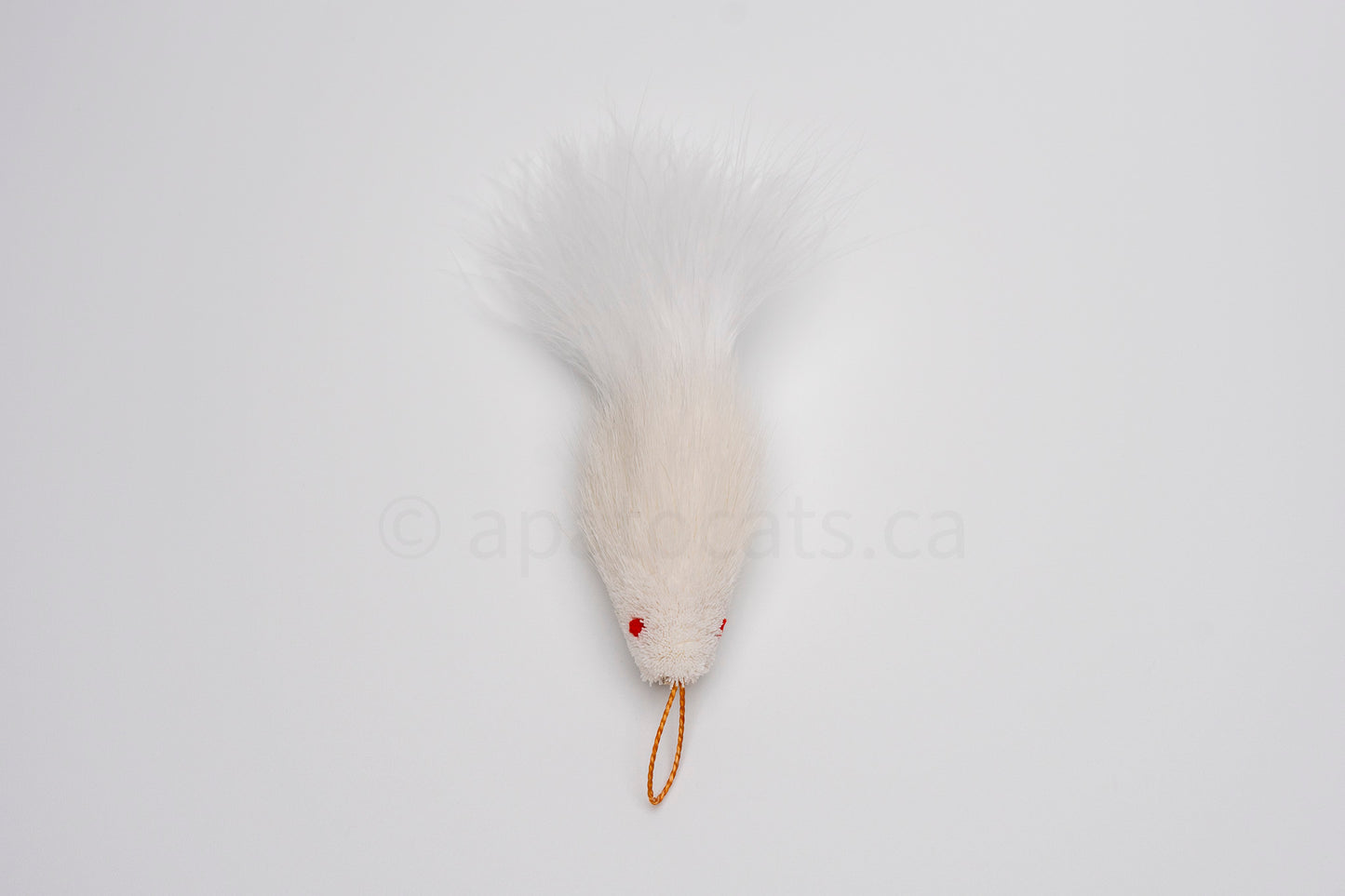 True North Mini Snow White Guppy