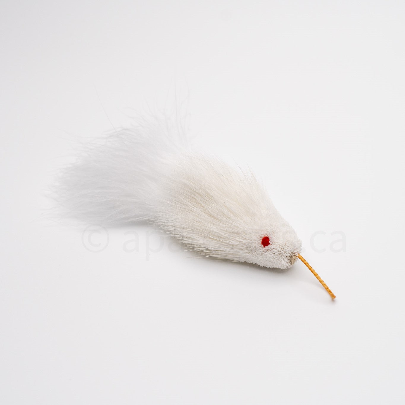 True North Mini Snow White Guppy