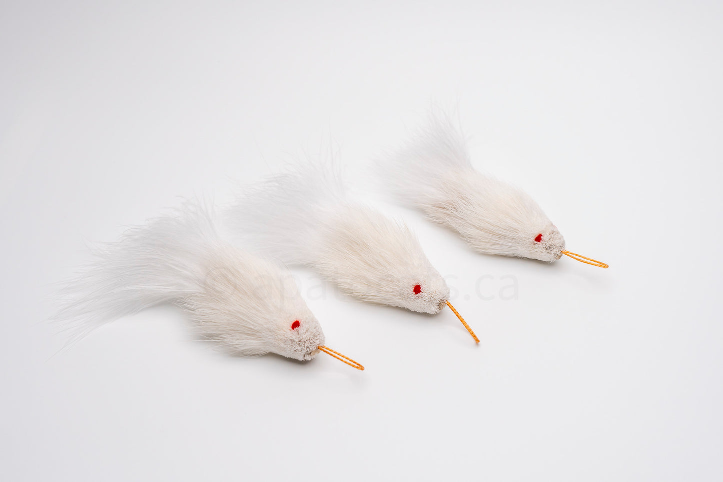 True North Mini Snow White Guppy