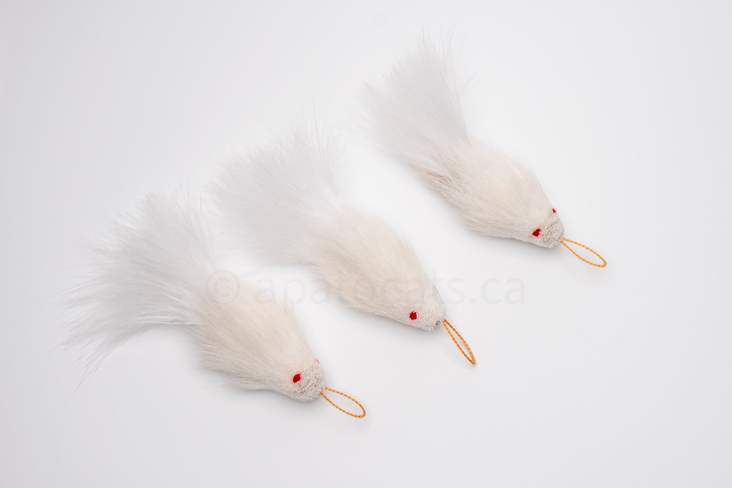True North Mini Snow White Guppy