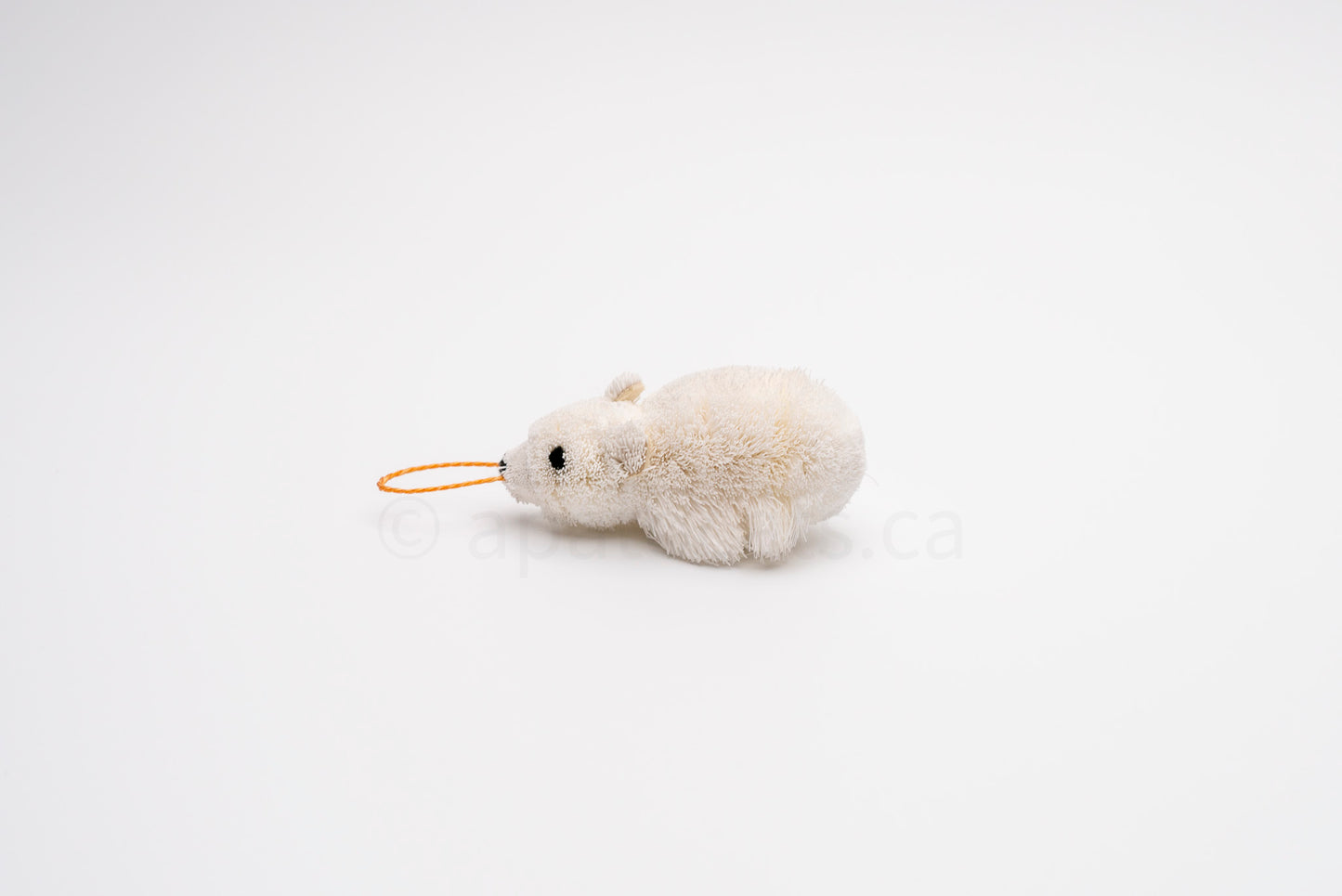True North Polar Bear Cub