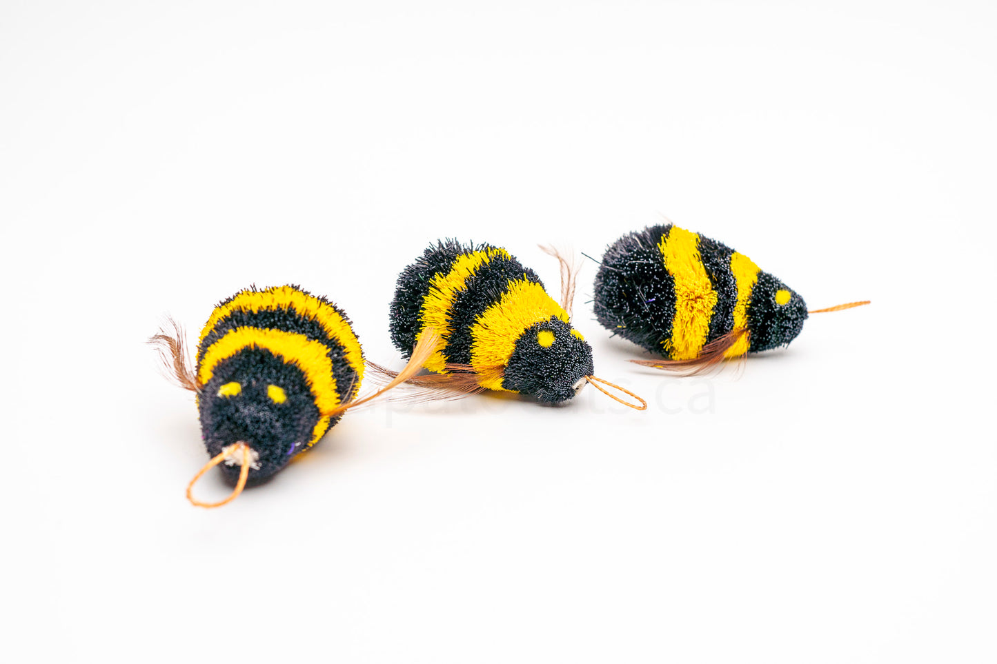 Vibrant Meadow Yellow-Banded Bumble Bee