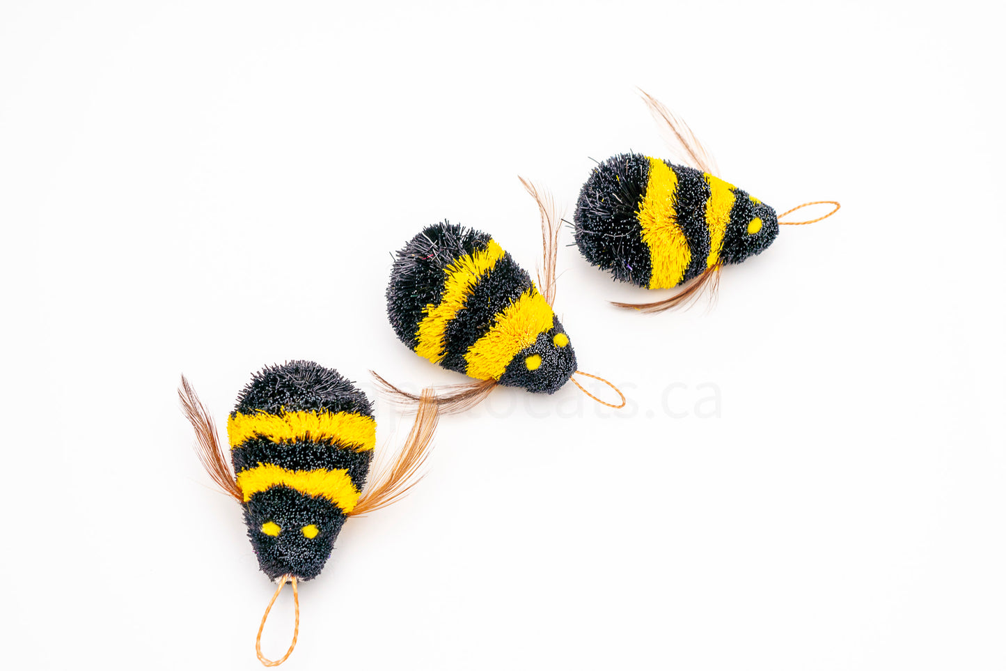 Vibrant Meadow Yellow-Banded Bumble Bee