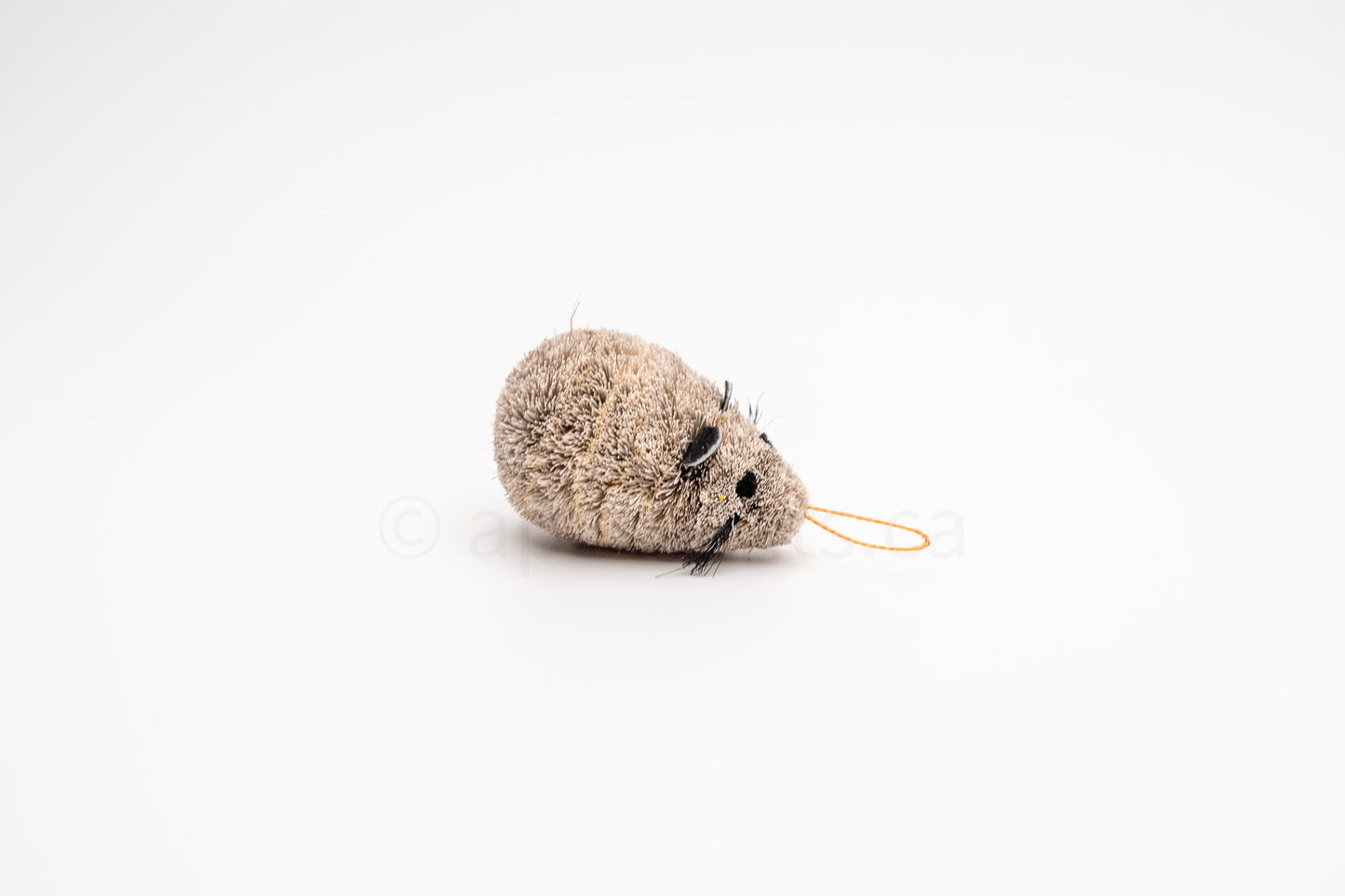 Vibrant Meadow Field Mouse