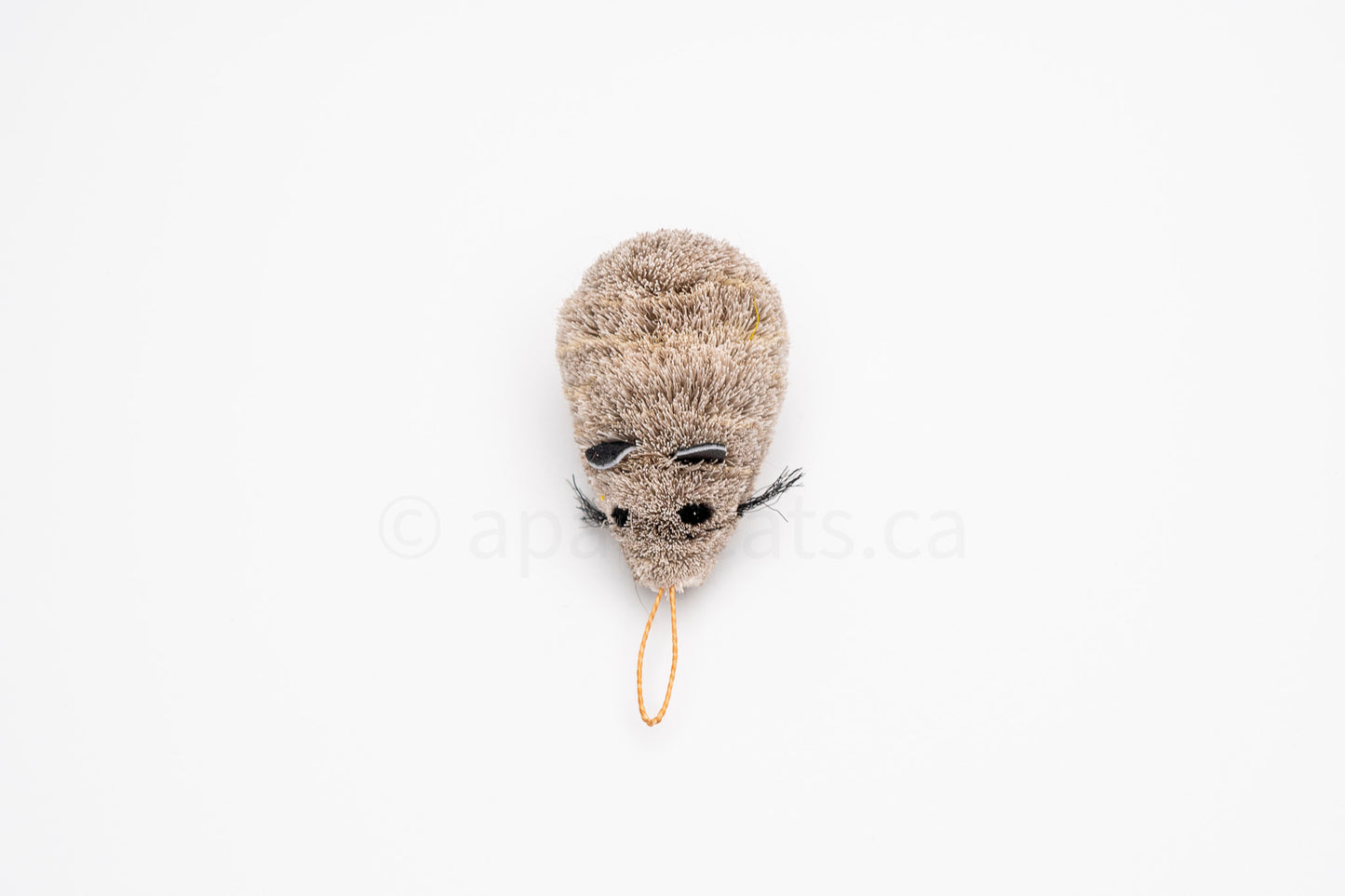 Vibrant Meadow Field Mouse