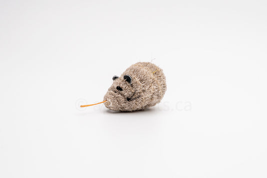 Vibrant Meadow Field Mouse