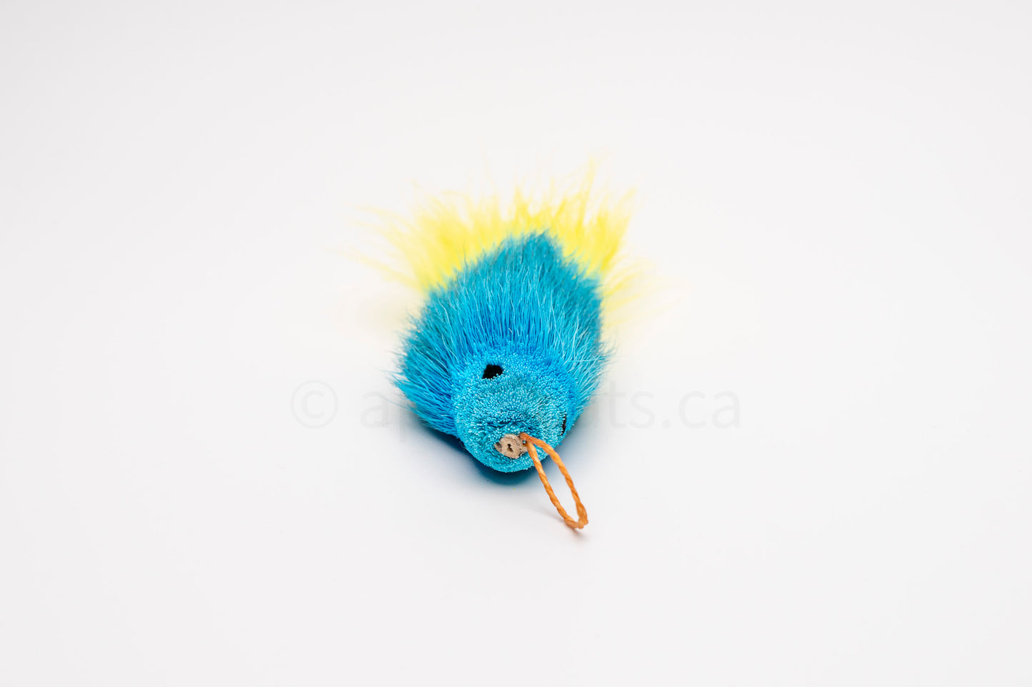 Vibrant Meadow Yellow-Tailed Blue Guppy