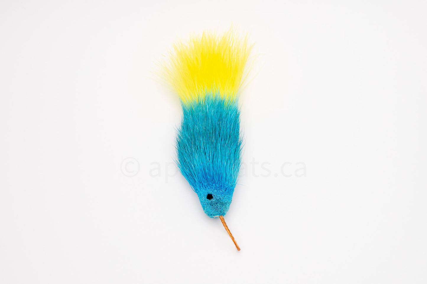 Vibrant Meadow Yellow-Tailed Blue Guppy