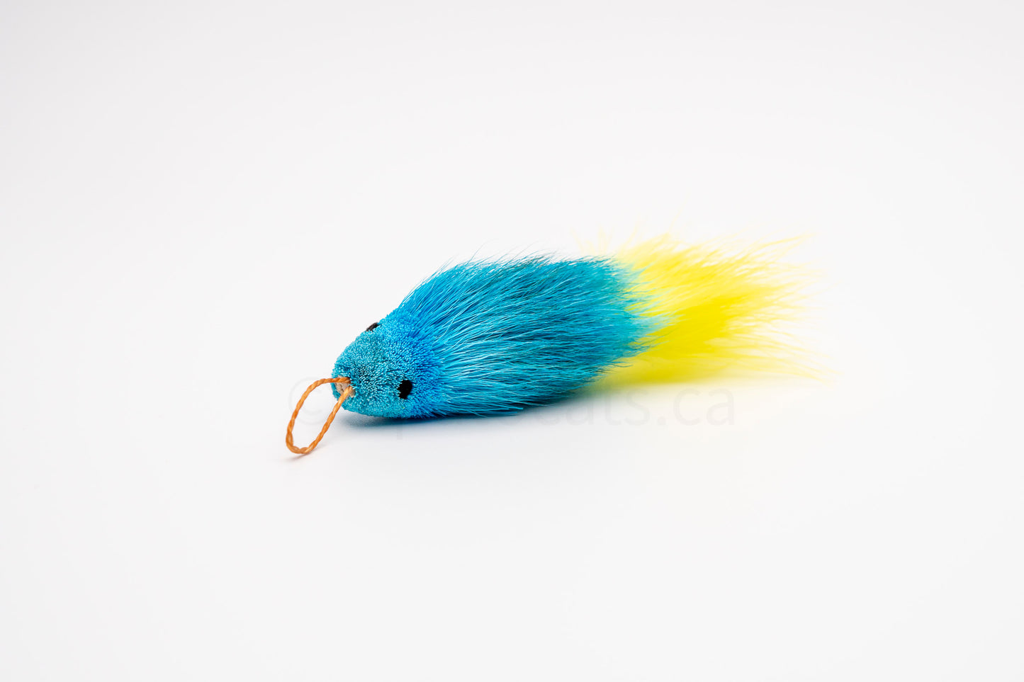 Vibrant Meadow Yellow-Tailed Blue Guppy