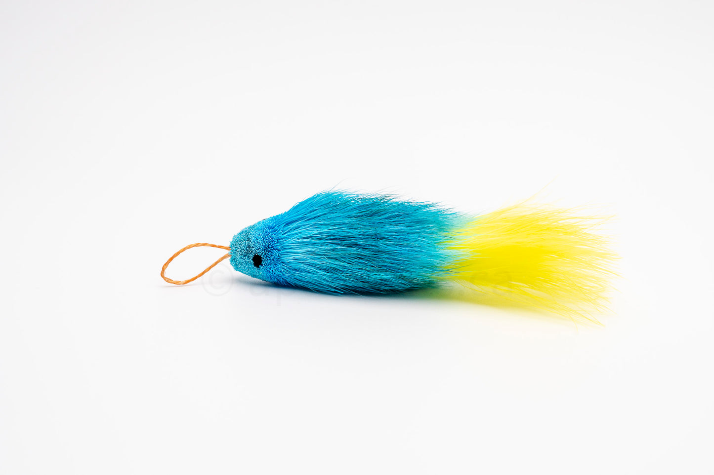 Vibrant Meadow Yellow-Tailed Blue Guppy