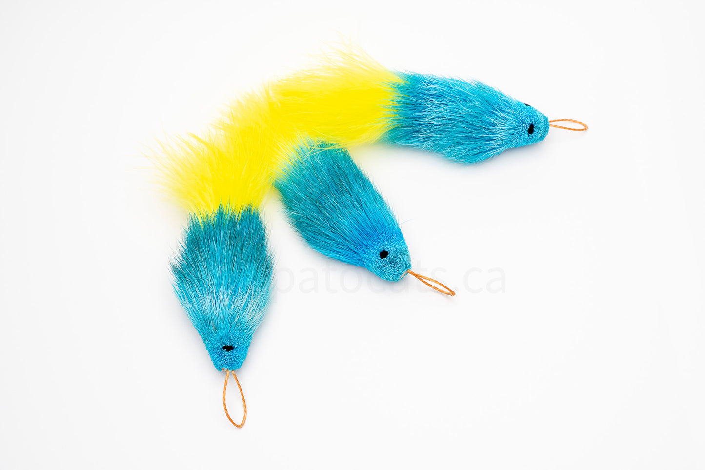 Vibrant Meadow Yellow-Tailed Blue Guppy