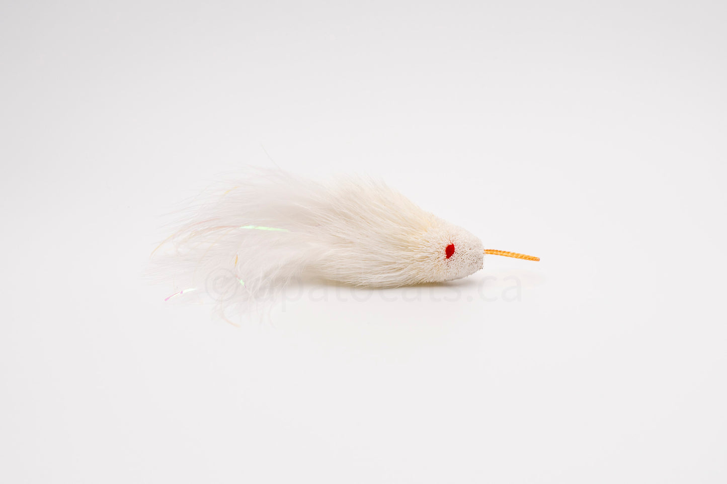 True North Shimmering Snow White Guppy