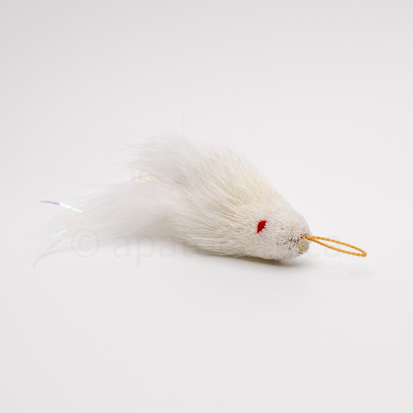 True North Shimmering Snow White Guppy
