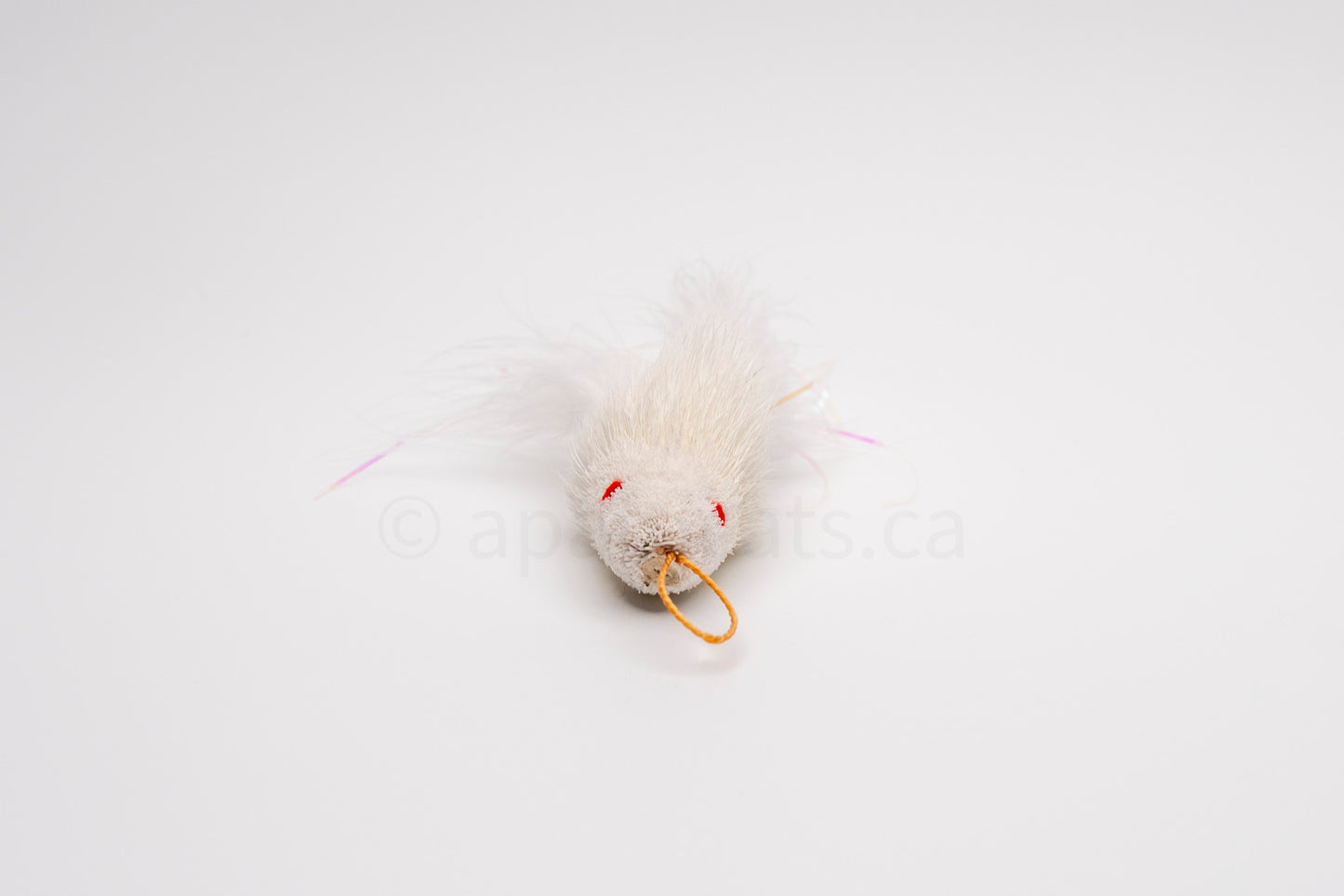 True North Shimmering Snow White Guppy