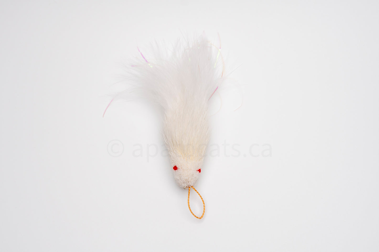 True North Shimmering Snow White Guppy