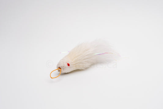 True North Shimmering Snow White Guppy