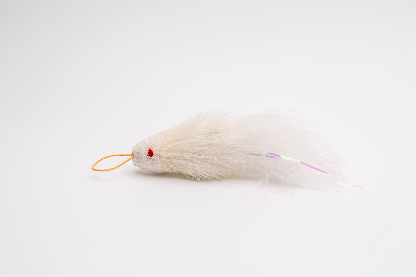 True North Shimmering Snow White Guppy