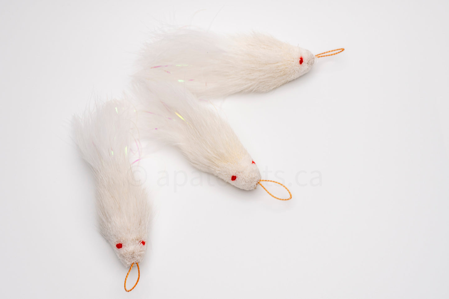 True North Shimmering Snow White Guppy