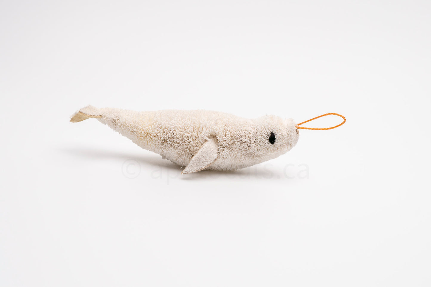 True North Beluga Whale Calf
