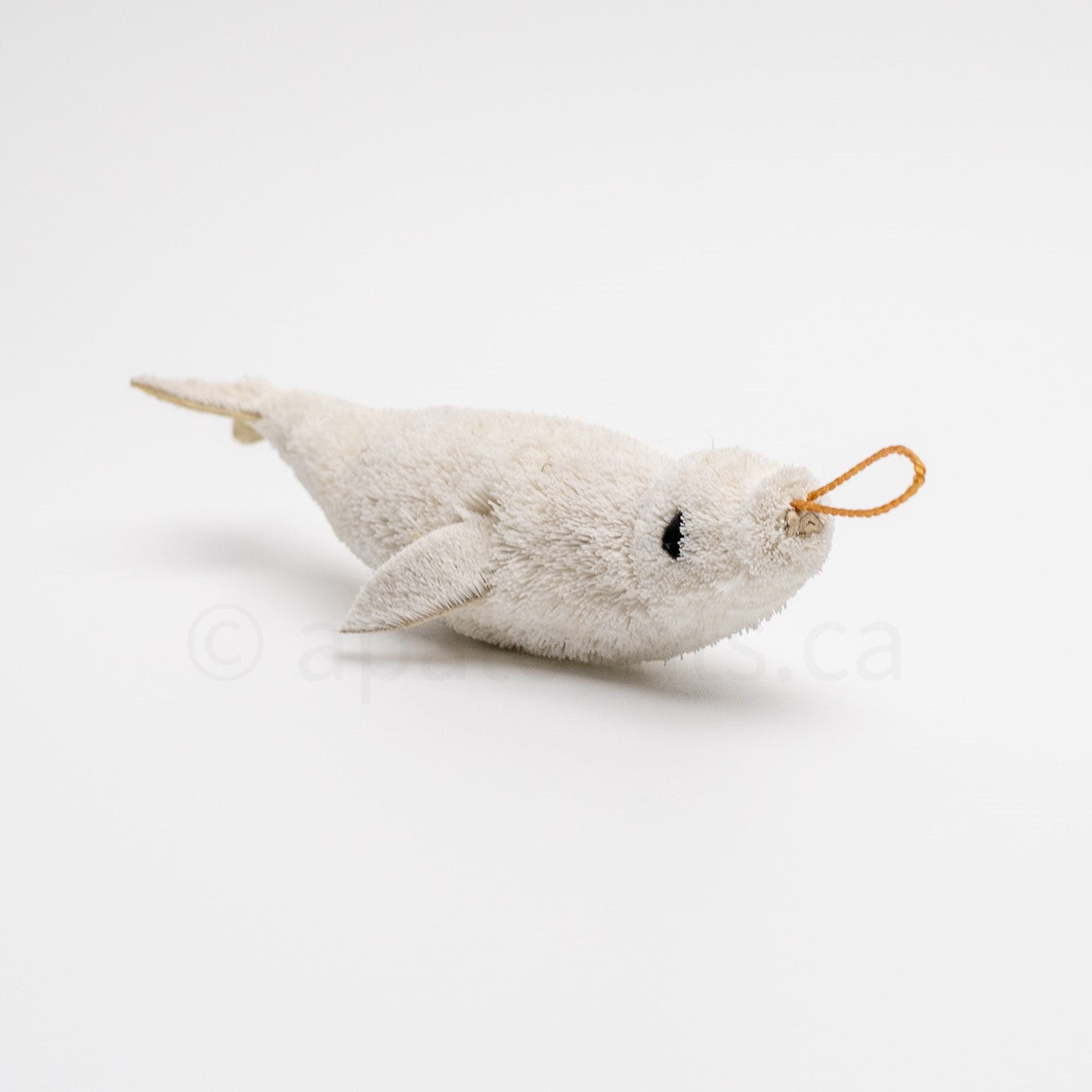 True North Beluga Whale Calf