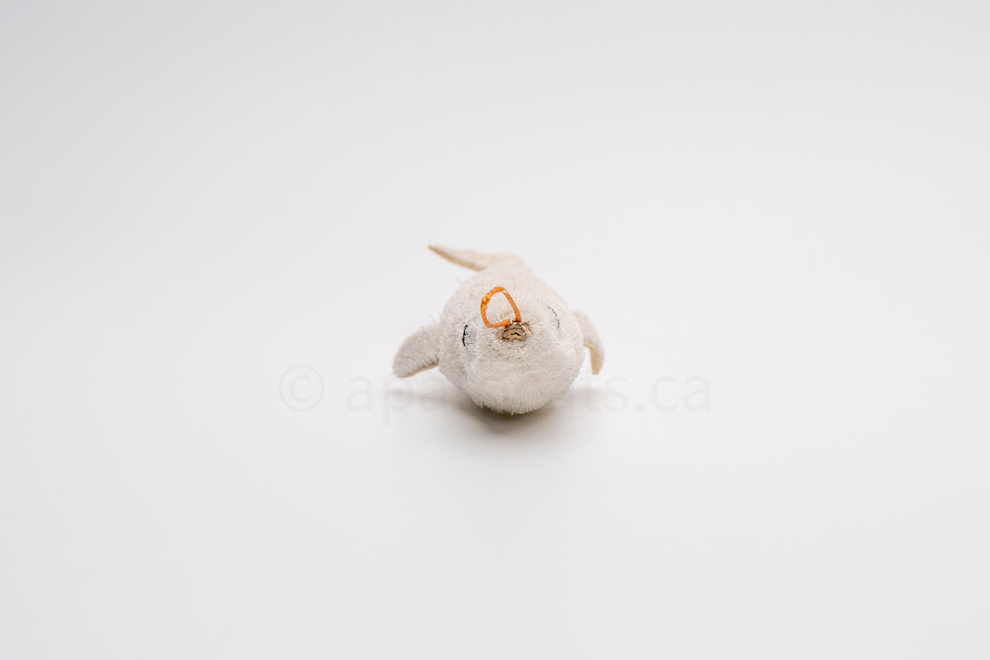 True North Beluga Whale Calf
