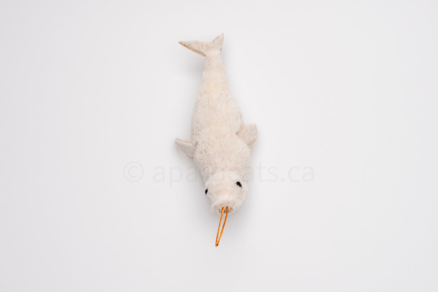 True North Beluga Whale Calf