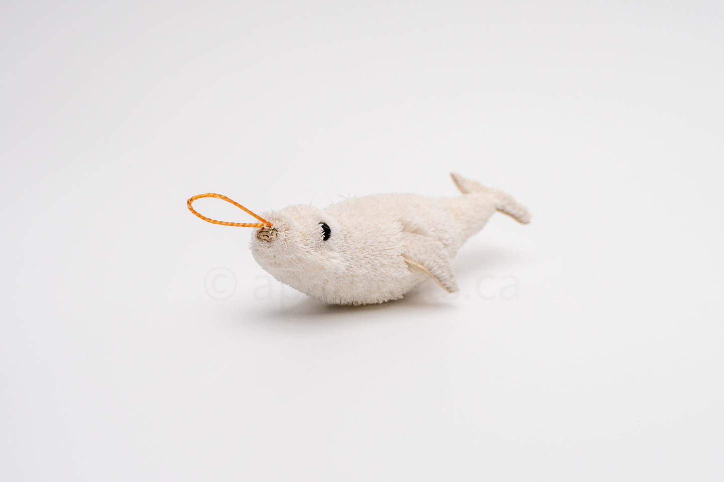 True North Beluga Whale Calf