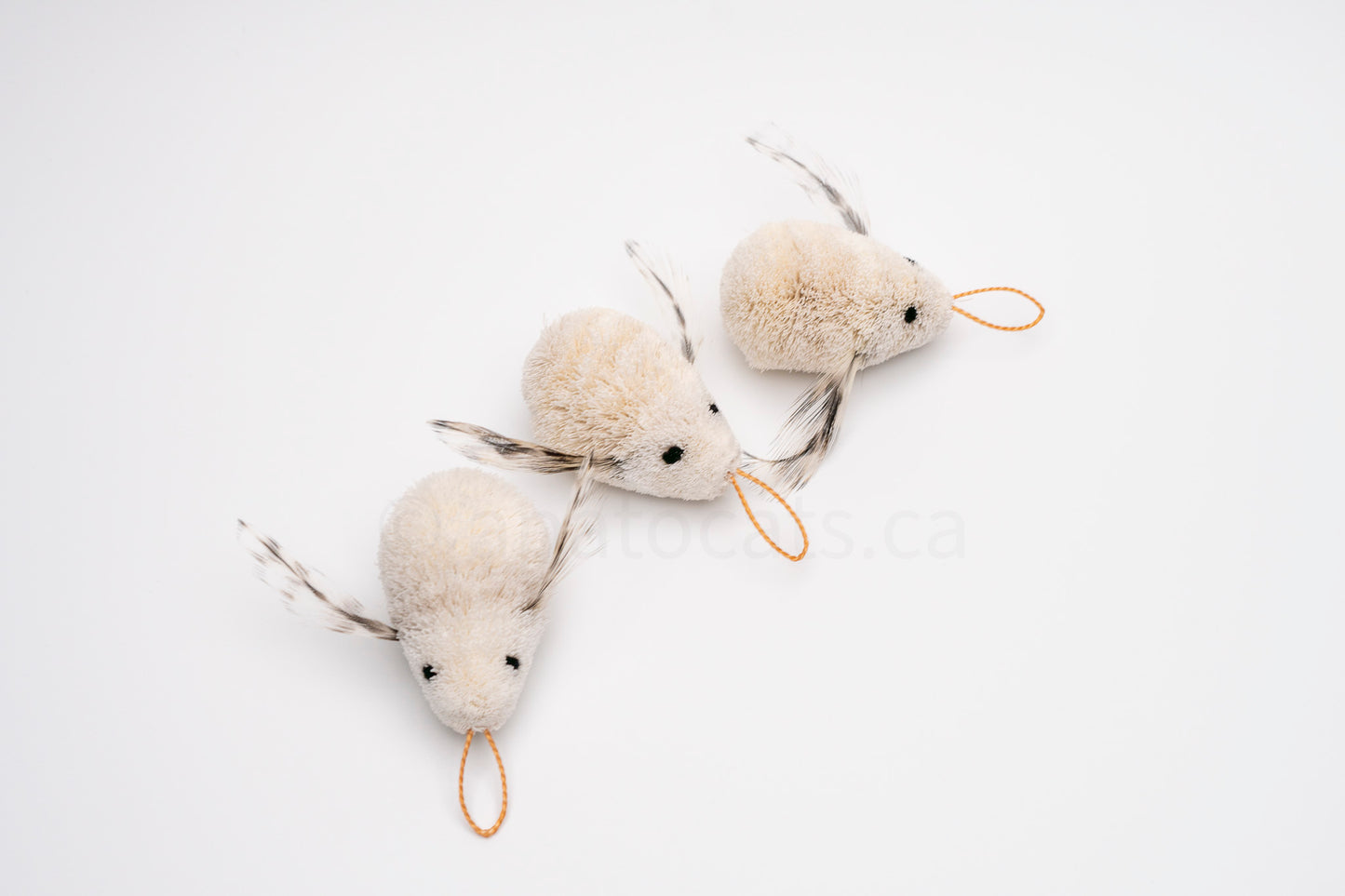 True North White Bee Fly