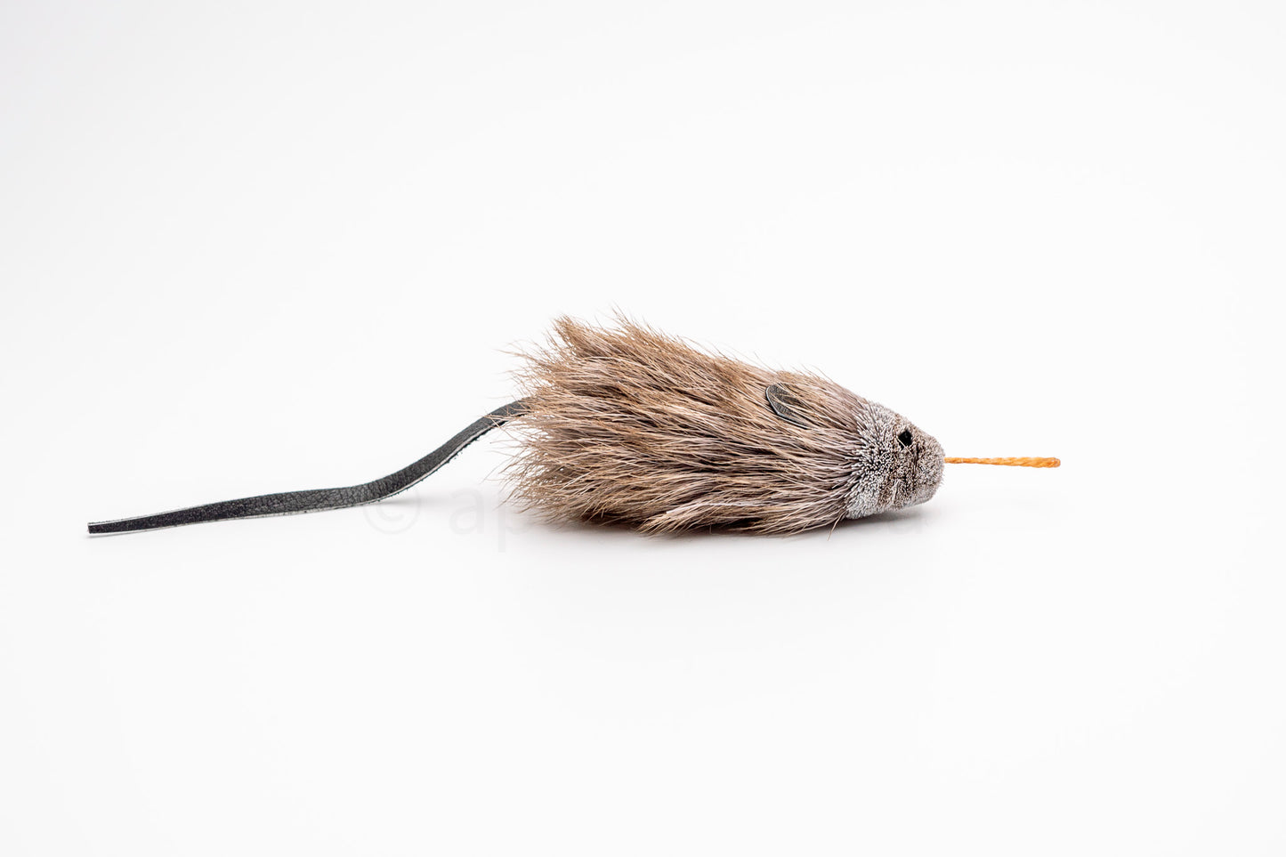 Vibrant Meadow House Mouse