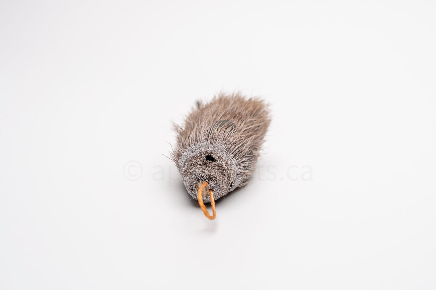 Vibrant Meadow House Mouse