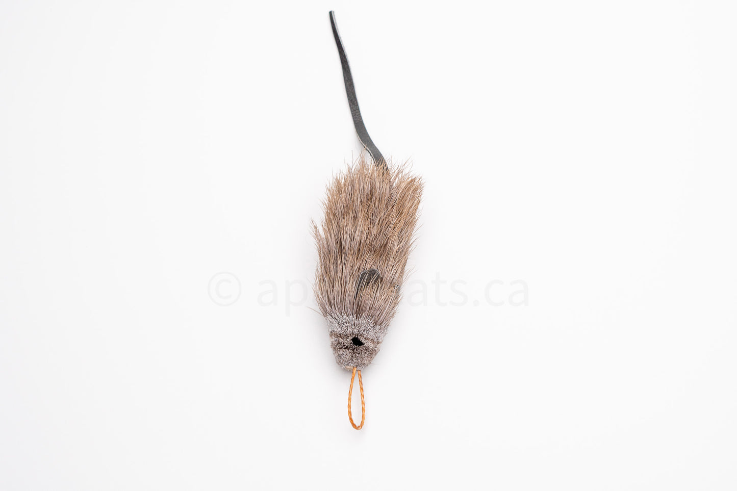 Vibrant Meadow House Mouse