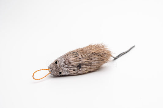 Vibrant Meadow House Mouse