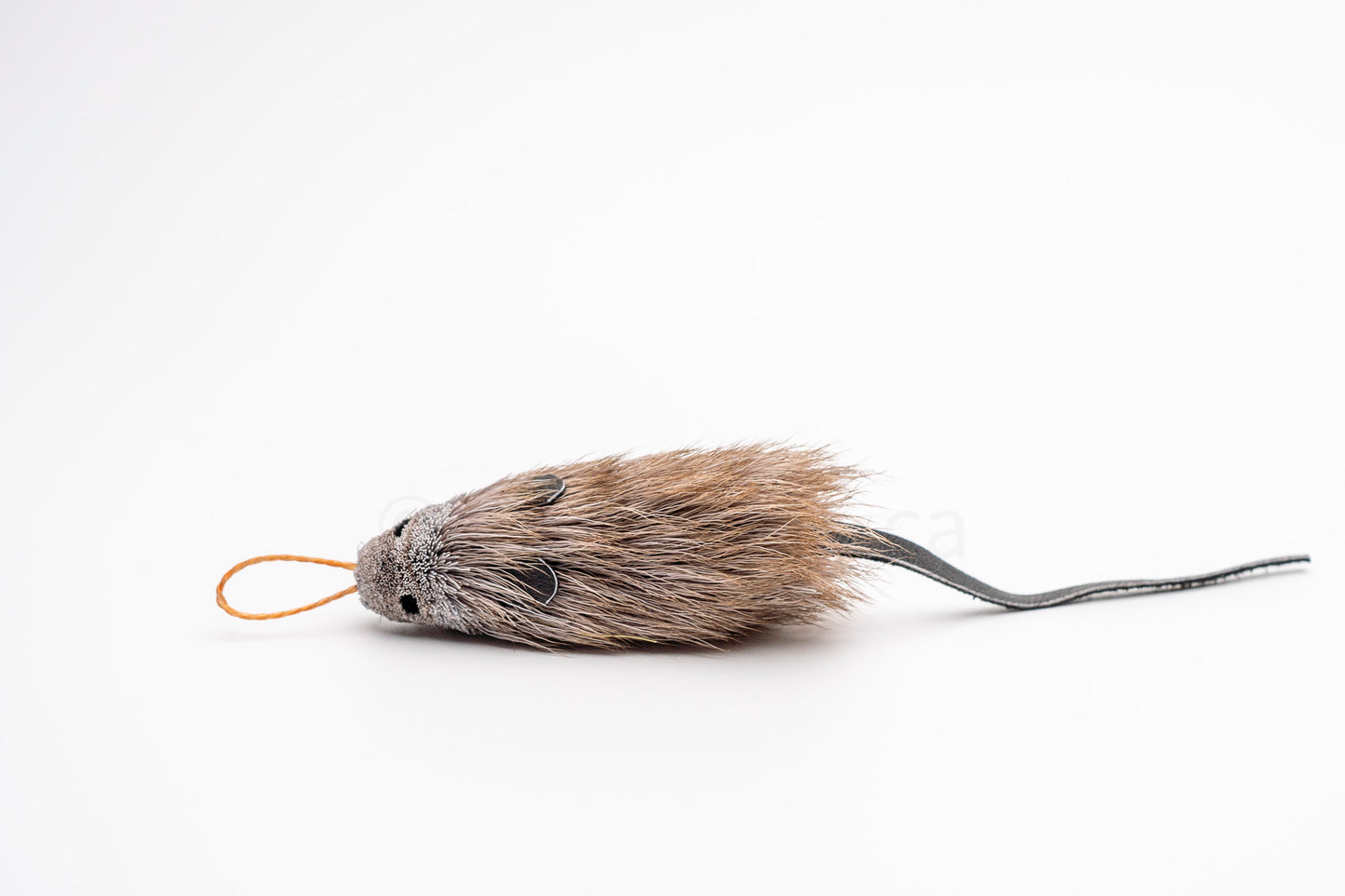 Vibrant Meadow House Mouse
