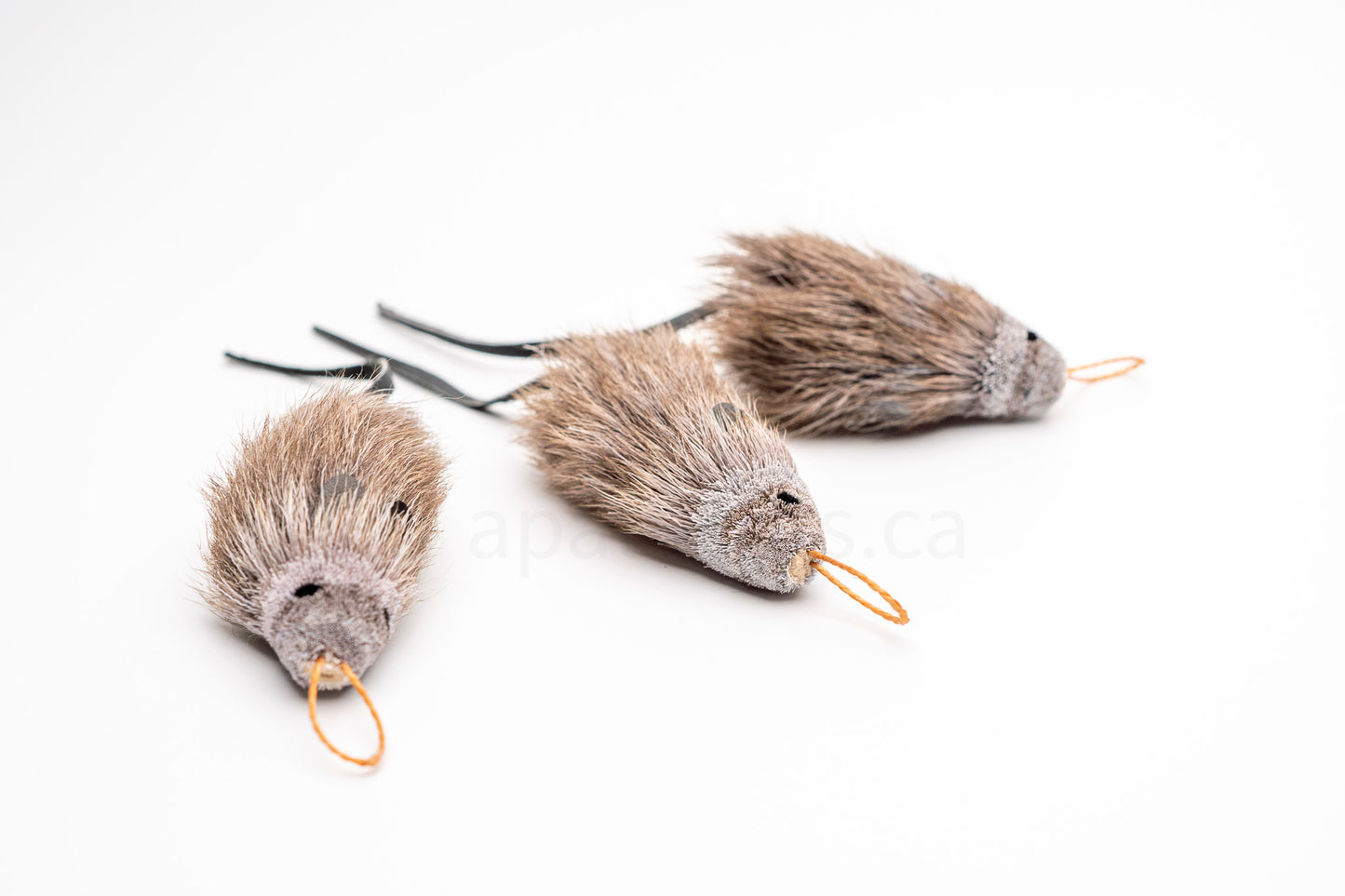 Vibrant Meadow House Mouse