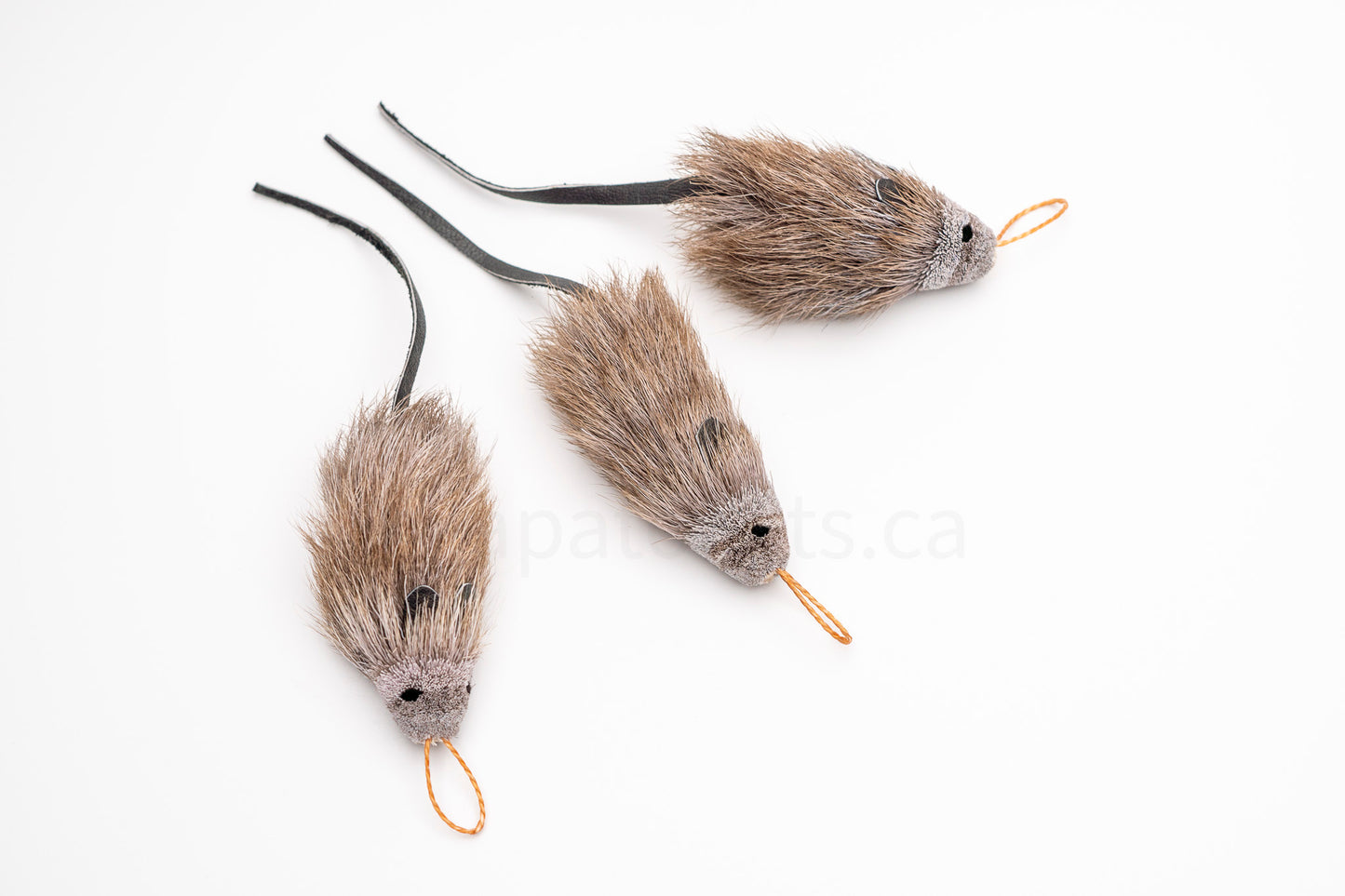Vibrant Meadow House Mouse
