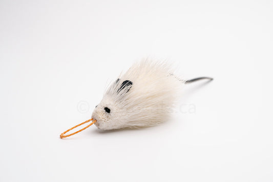 True North Mini Angora Mouse