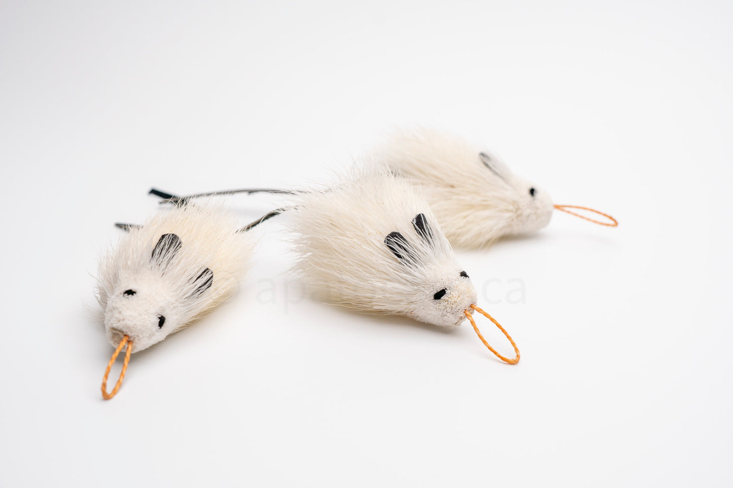 True North Mini Angora Mouse