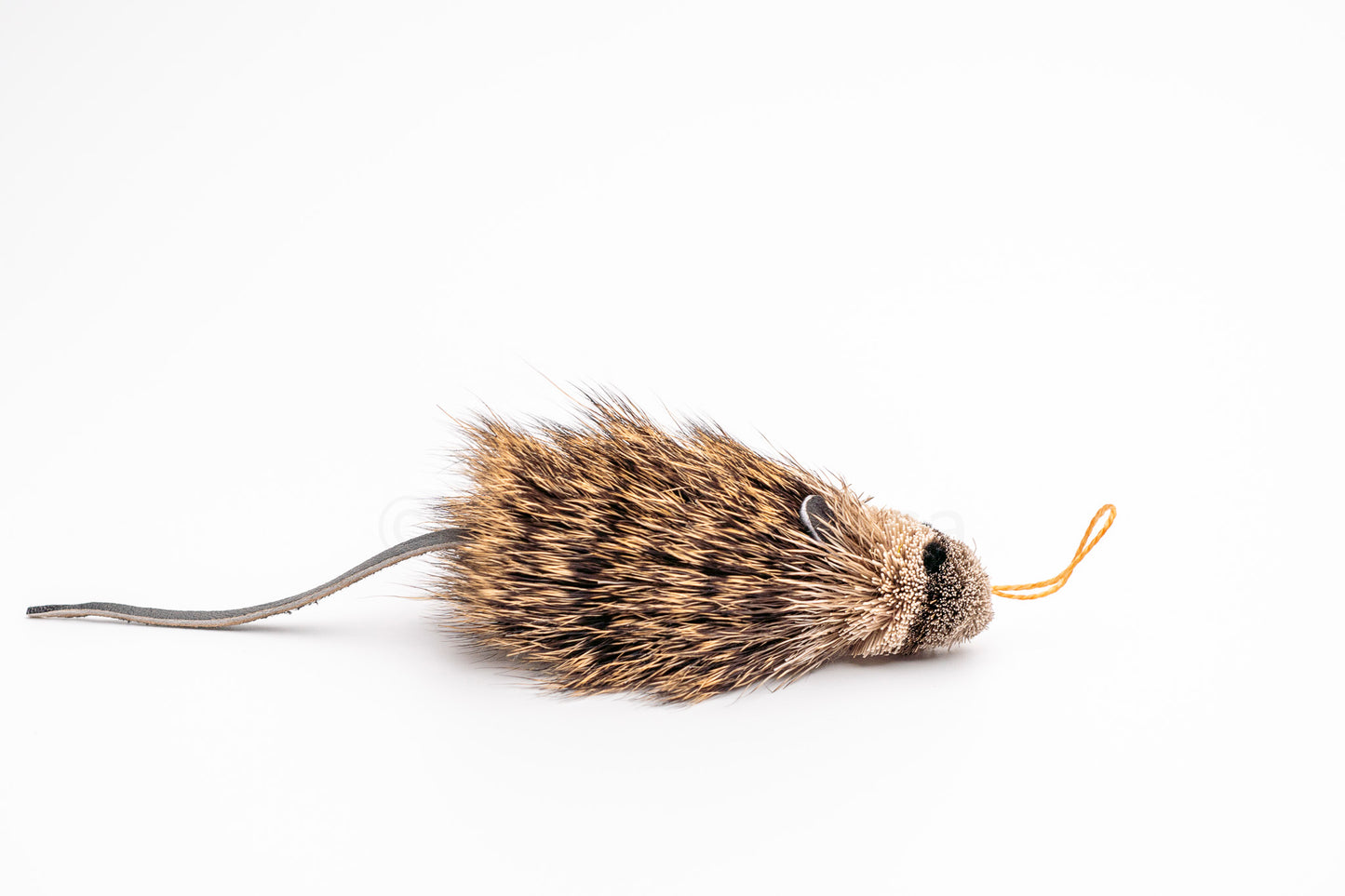 Vibrant Meadow Marsh Rice Rat