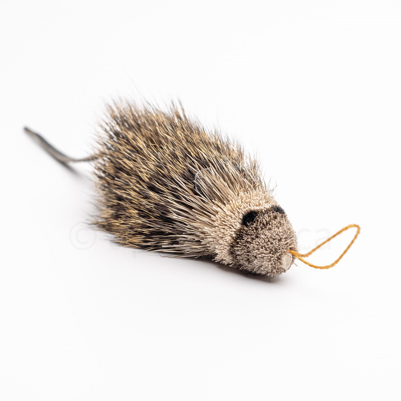 Vibrant Meadow Marsh Rice Rat