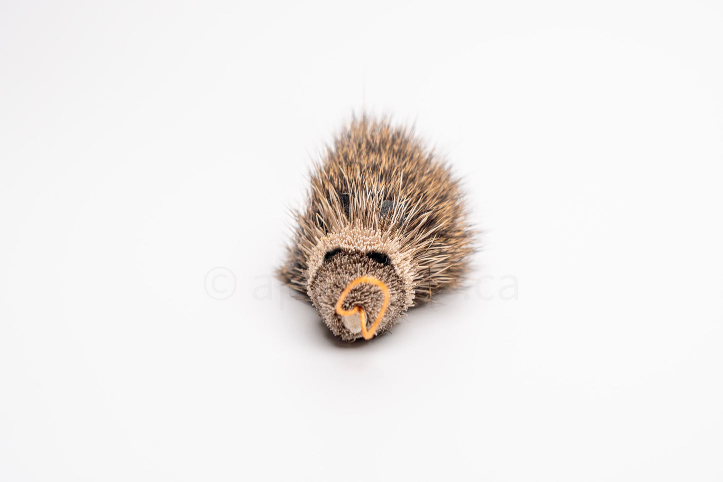 Vibrant Meadow Marsh Rice Rat
