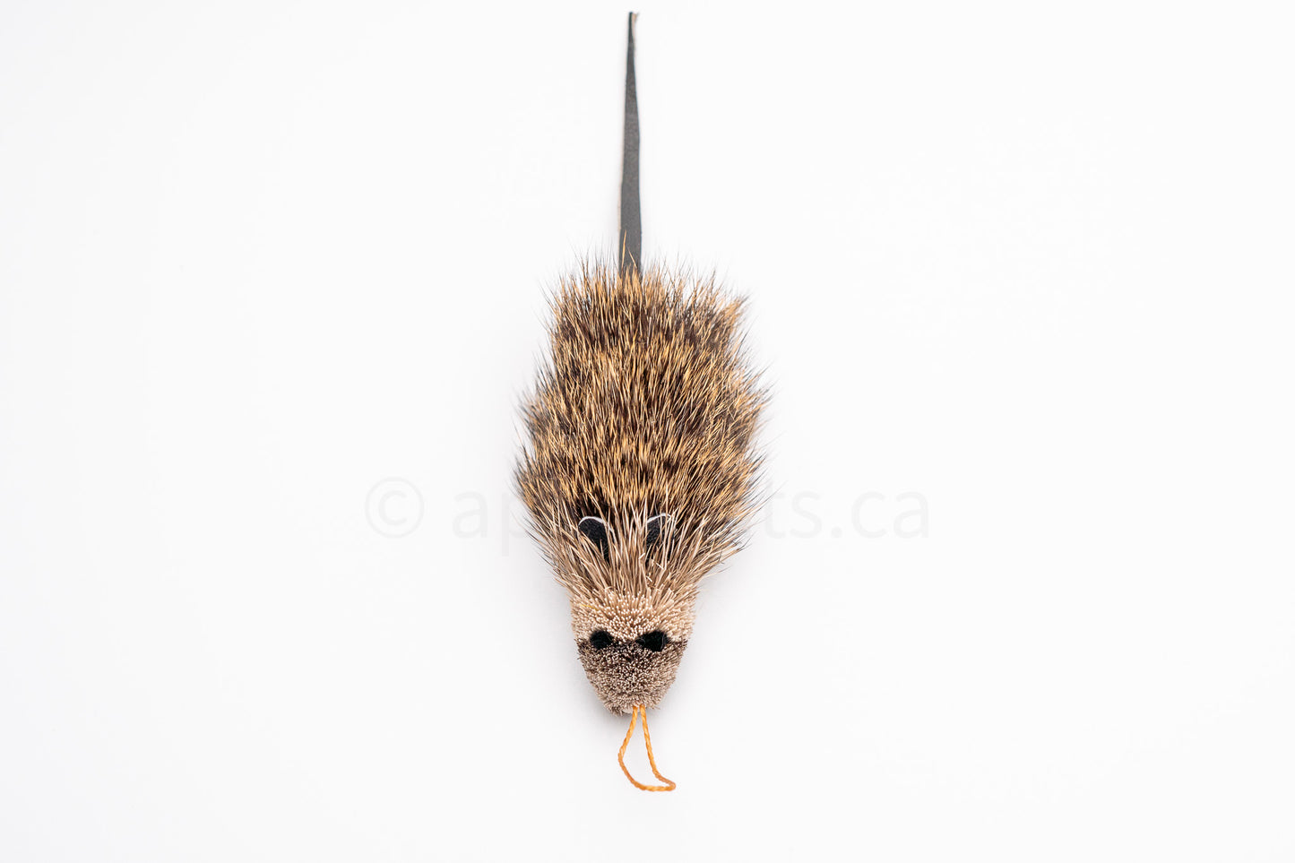 Vibrant Meadow Marsh Rice Rat