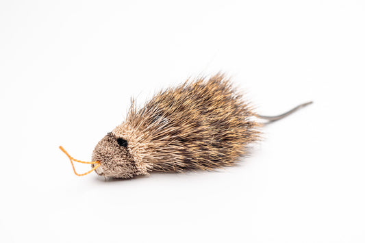 Vibrant Meadow Marsh Rice Rat