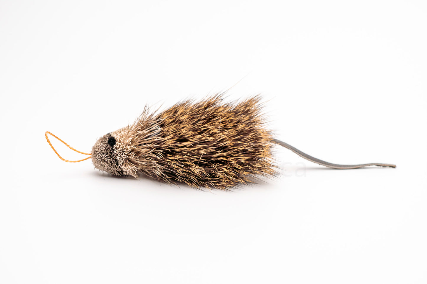 Vibrant Meadow Marsh Rice Rat