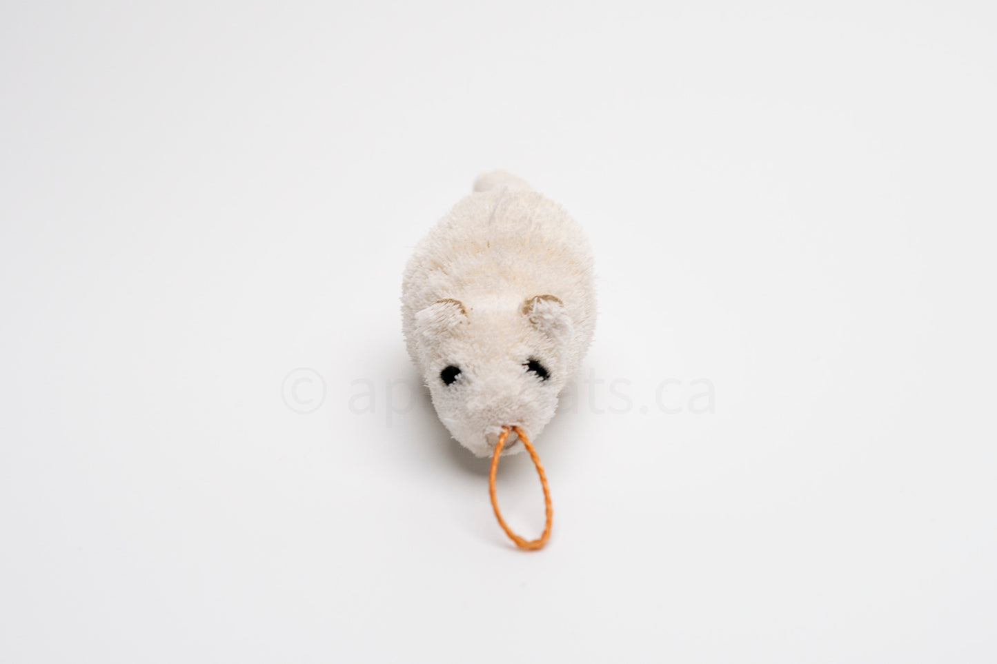 True North Travelling Ermine
