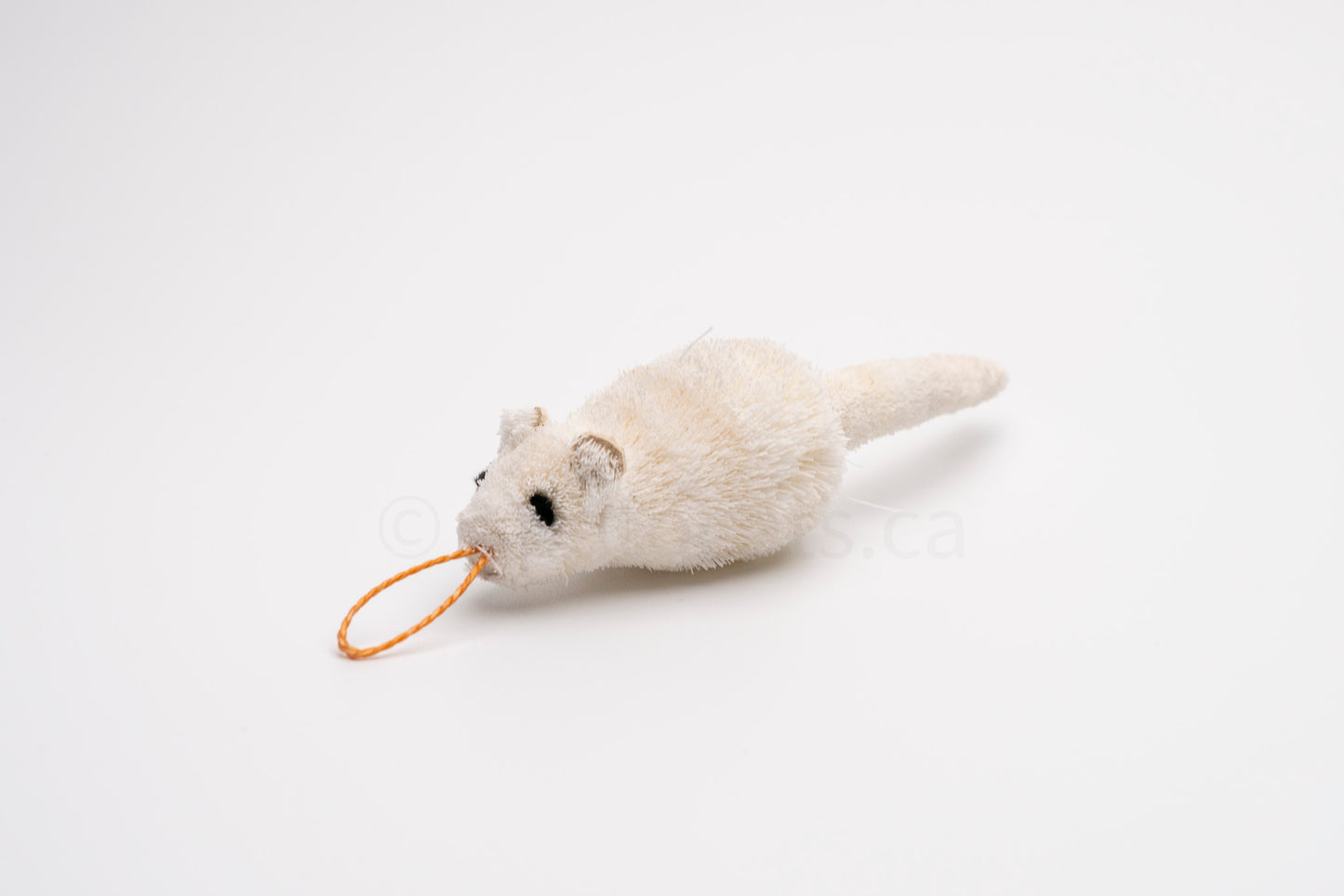 True North Travelling Ermine