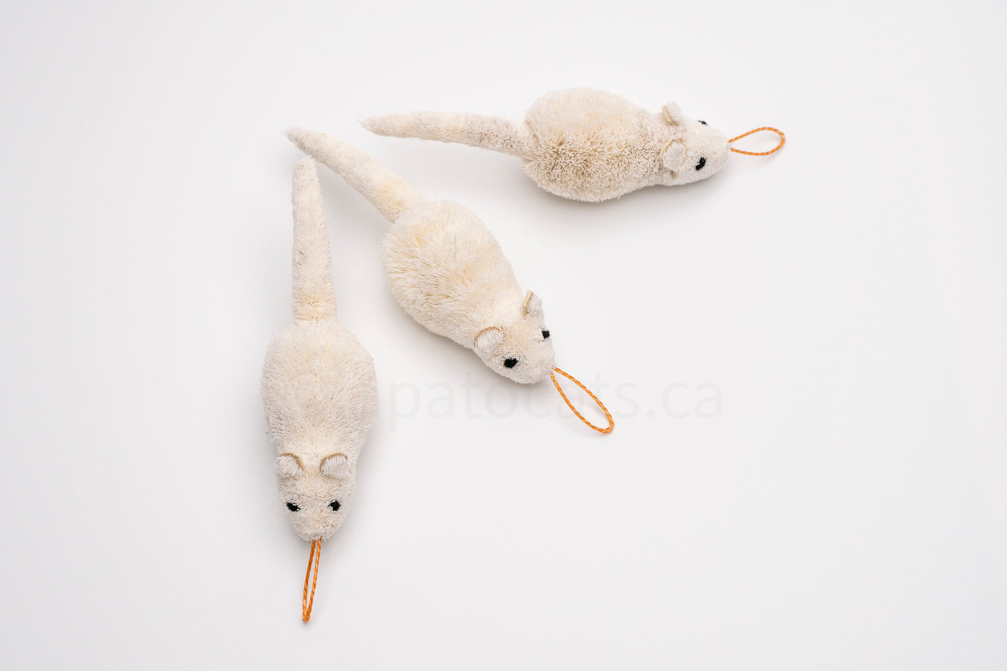 True North Travelling Ermine