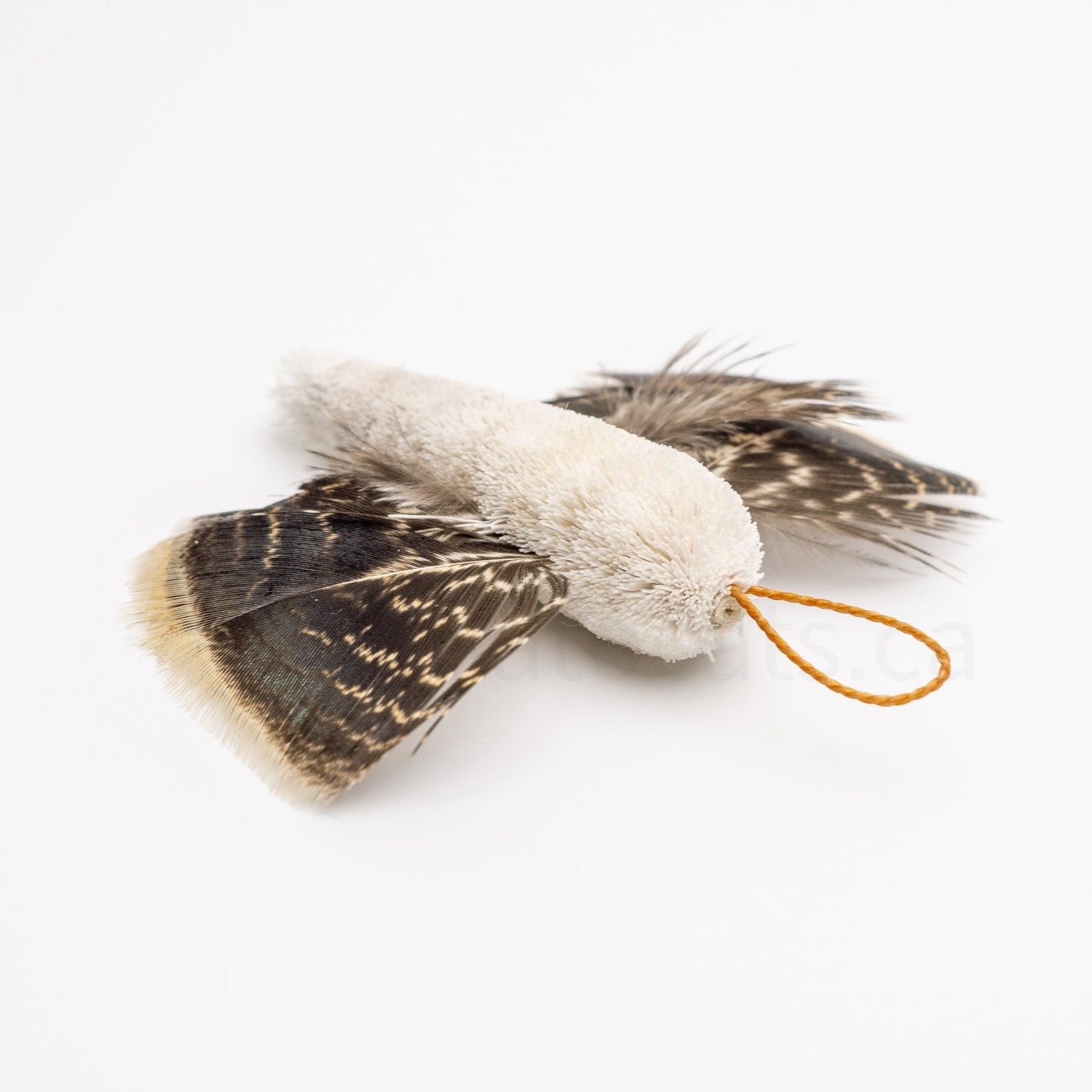 True North Snowy Moth